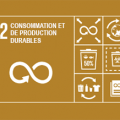 Journee mondiale cooperative 2018