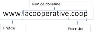 Nom de domaine 1