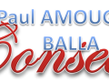 Pab conseils